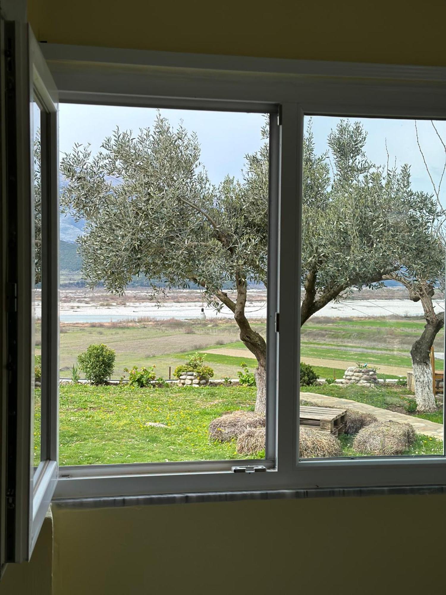 Vjosa Guest House Memaliaj المظهر الخارجي الصورة