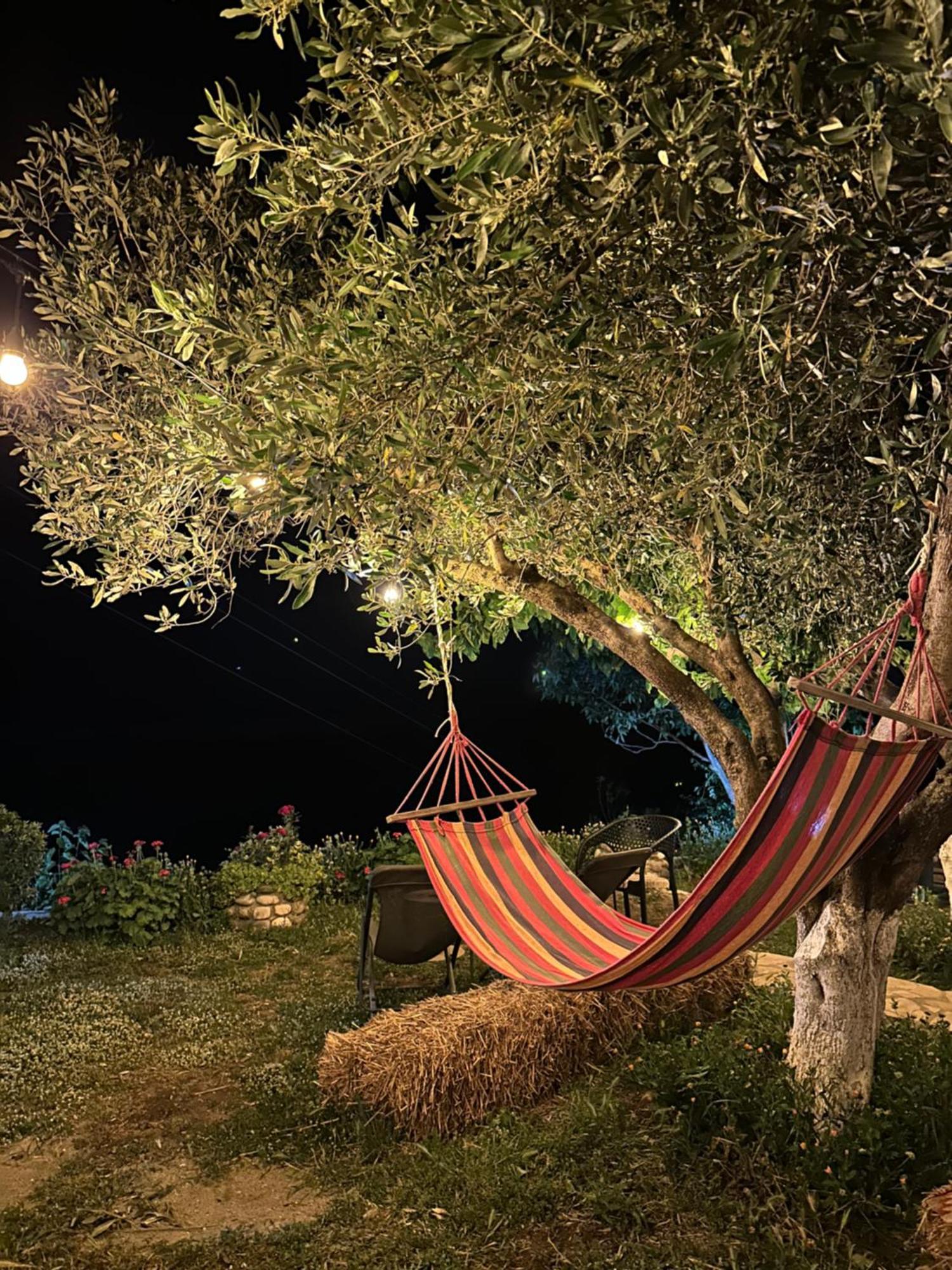 Vjosa Guest House Memaliaj المظهر الخارجي الصورة